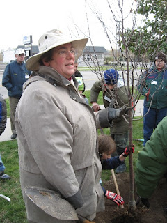 tree planting demonstration – Sun, Moon, Stars (Alice's Grand Adventures)